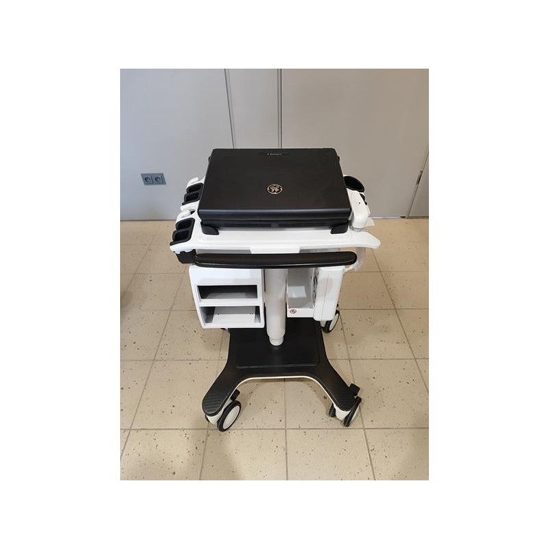 GE Logiq e R8 Ultraschallgerät