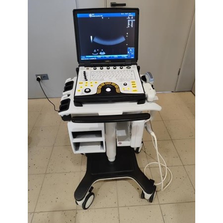 GE Logiq e R8 Ultraschallgerät