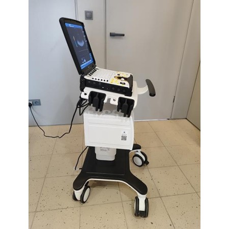 GE Logiq e R8 Ultraschallgerät