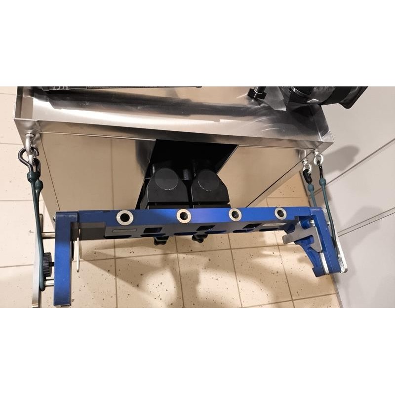 Berchtold lower limb traction