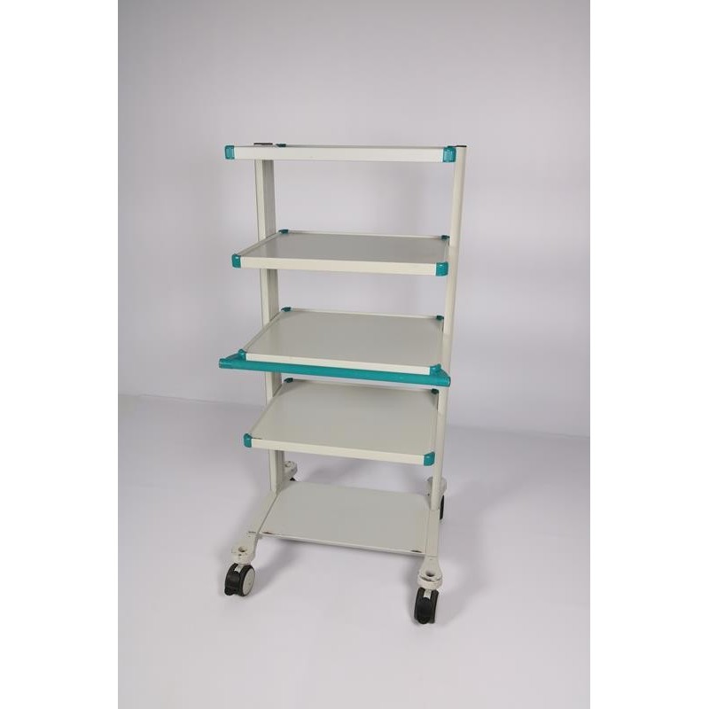 Endoscopic trolley